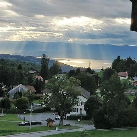 Balcony Of Lake Geneva Thollon-les-Memises Dış mekan fotoğraf